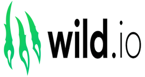 Wild.io Casino Review