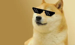 Doge Doge